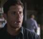 SPN_0105.jpg