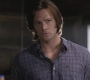 SPN_0146.jpg