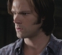 SPN_0169.jpg