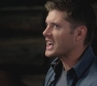 SPN_0189.jpg