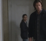 SPN_0243.jpg