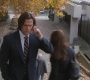 SPN_0537.jpg