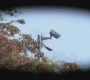SPN_0595.jpg