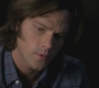 SPN_0639.jpg