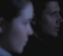 SPN_0981.jpg