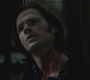 SPN_1009.jpg