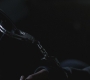 SPN_1113.jpg