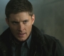SPN_1169.jpg