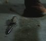 SPN_1175.jpg