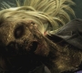SPN_1218.jpg