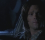SPN_1310.jpg