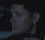 SPN_1337.jpg