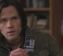 SPN_1396.jpg