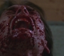 SPN_0314.jpg