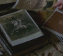 SPN_1013.jpg