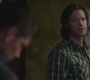 SPN_1021.jpg