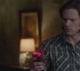 SPN_1049.jpg