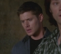 SPN_1052.jpg