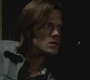 SPN_1344.jpg