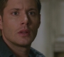 SPN_1355.jpg