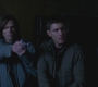 SPN_1386.jpg