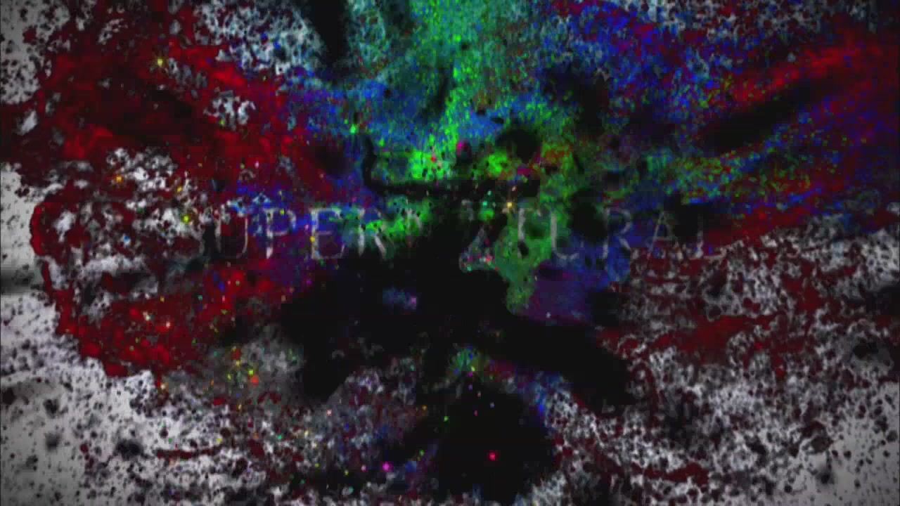 SPN_0043.jpg