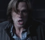SPN_0032.jpg