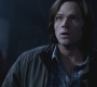 SPN_0040.jpg