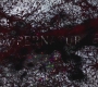SPN_0044.jpg
