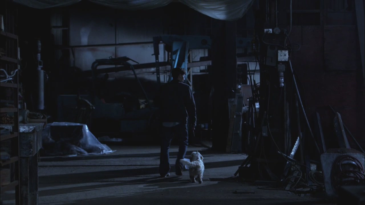 SPN_1144.jpg