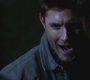SPN_0161.jpg