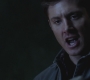 SPN_0178.jpg