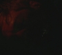 SPN_0194.jpg