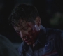 SPN_0213.jpg