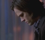 SPN_0245.jpg