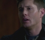 SPN_0278.jpg