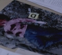 SPN_0286.jpg