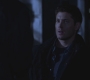 SPN_1138.jpg