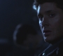 SPN_1147.jpg