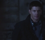 SPN_1161.jpg