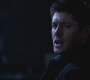 SPN_1249.jpg