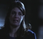 SPN_1272.jpg