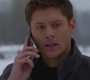 SPN_0095.jpg