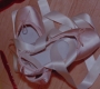 SPN_0204.jpg