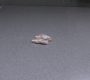 SPN_0216.jpg