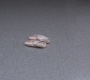 SPN_0217.jpg