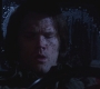 SPN_0856.jpg