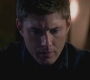 SPN_0895.jpg