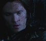 SPN_0924.jpg