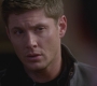 SPN_1275.jpg